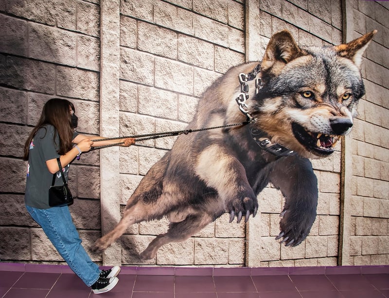 Interactive Nature Activities